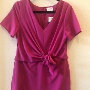 NWT pink dress- sz large